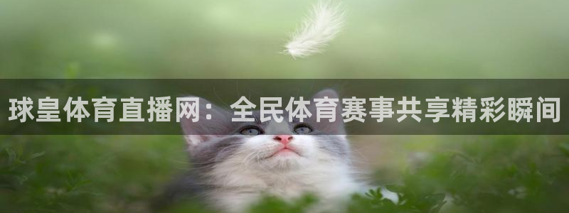 龙门直播赛事回放