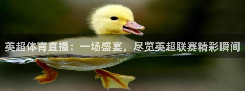 龙门直播比赛直播
