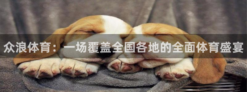 龙门直播h5