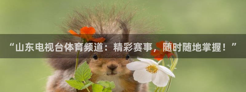 英超龙门直播