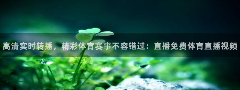 龙门直播安卓下载：高清实时转播，精彩体育赛事不容错过：直播免费体育直播视频